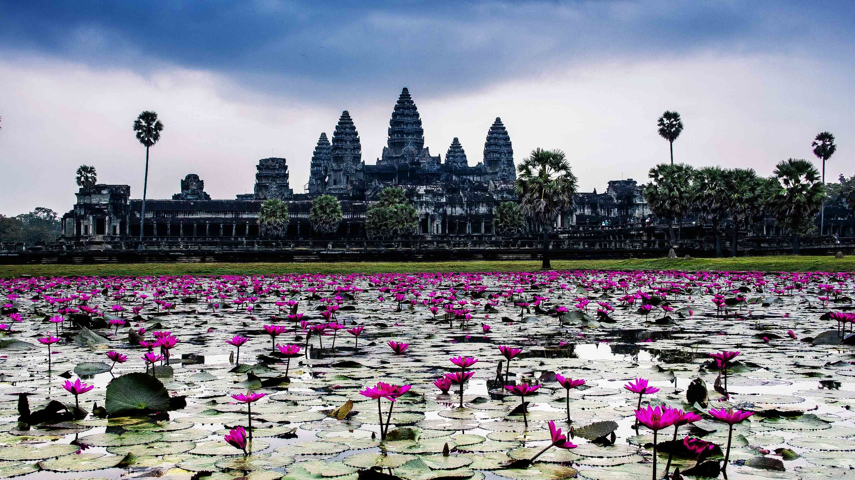 lake with flowers