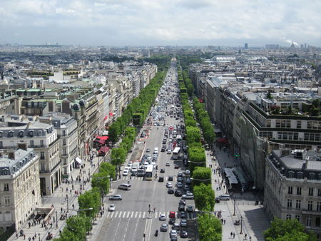 Champs Elysees beautifully trimmed trees